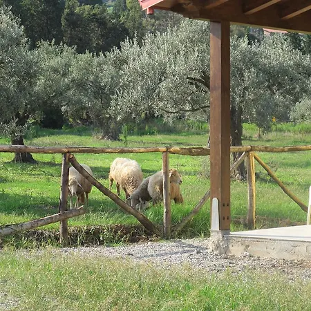 Stella Di Sicilia Casa vacanze Acquedolci