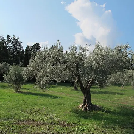 Stella Di Sicilia Acquedolci